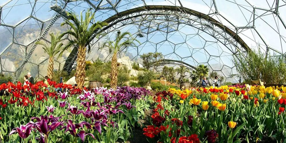 伊甸园的ETFE应用