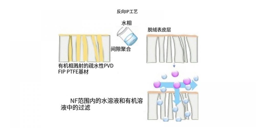 通过反向界面聚合在疏水性PVDF和PTFE基底上构建纳滤膜